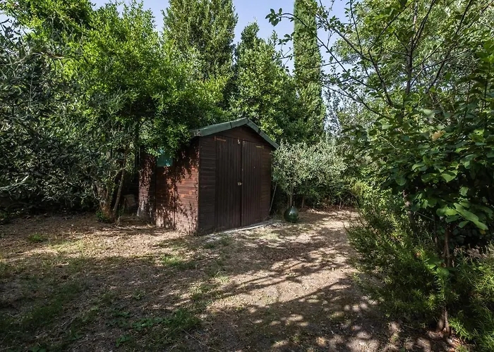 La Tana Della Volpe Sorano (Grosseto)